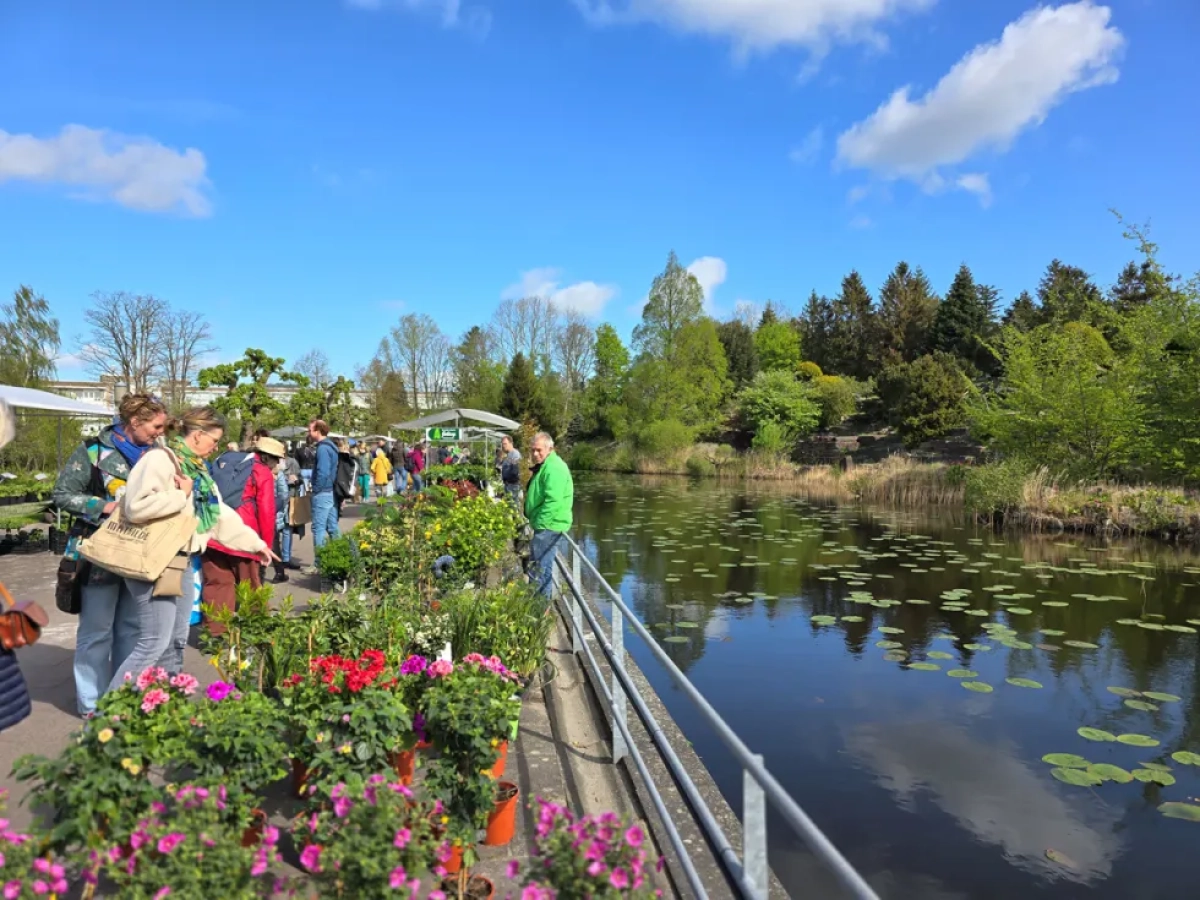 Plantenmarkt 2026 Hortus Botanicus